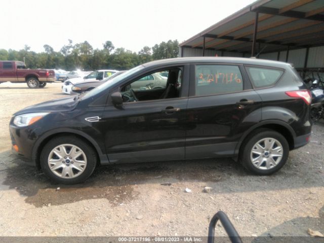 1FMCU0F77FUA55175 Ford ESCAPE S