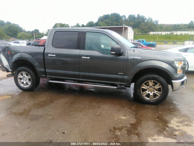 Ford F-150 Xlt 2016 1FTEW1EP8GFB83154 Image 14