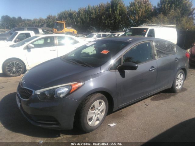 KNAFK4A62G5569554 KIA FORTE LX