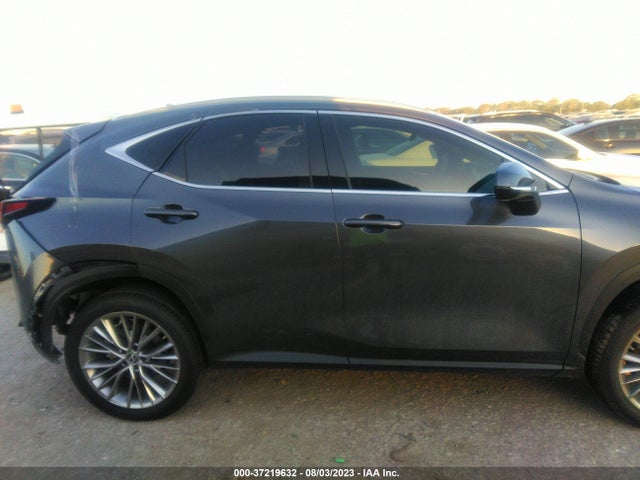 2022 Lexus NX, VIN: 2T2GKCEZ6NC009442
