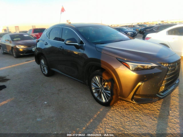 2022 Lexus NX, VIN: 2T2GKCEZ6NC009442