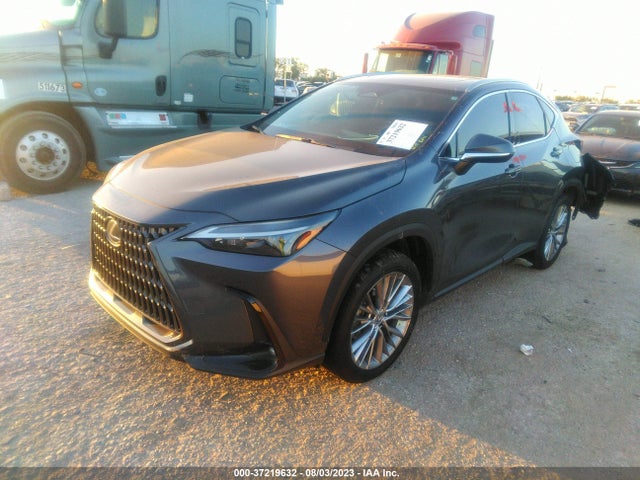 2022 Lexus NX, VIN: 2T2GKCEZ6NC009442