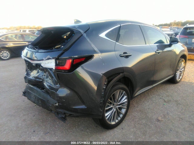 2022 Lexus NX, VIN: 2T2GKCEZ6NC009442