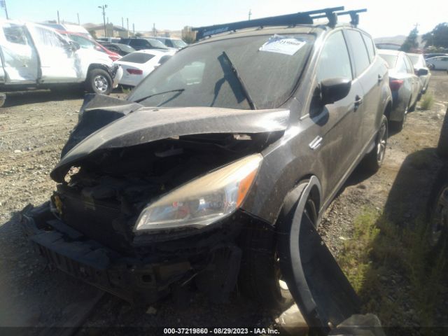 1FMCU9G99EUA54791 Ford ESCAPE SE