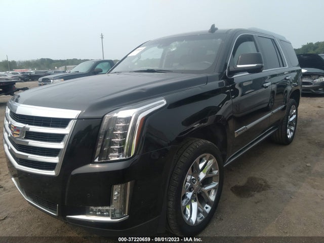 1GYS4CKJ8GR443551 Cadillac Escalade Premium Collection
