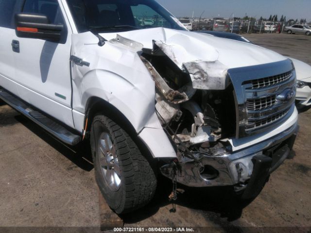 1FTFW1ET9EKF24535 Ford F-150 Xl/xlt/fx4/lariat