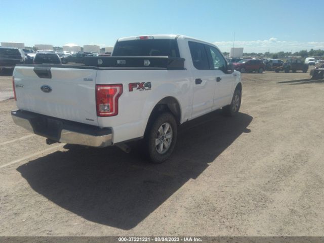 1FTEW1EF3FKE21683 Ford F-150 Xlt/xl/lariat/platinum