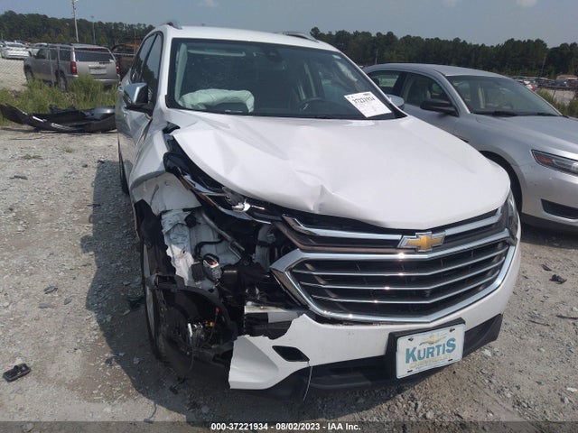 Chevrolet Equinox Premier 2019 3GNAXNEV6KS538061 Image 6