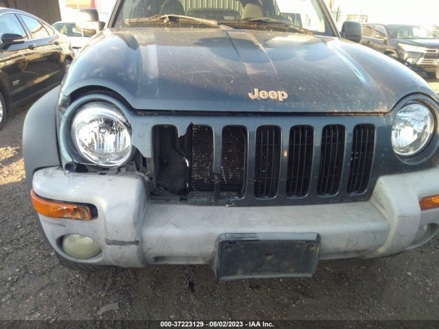 2002 JEEP LIBERTY SPORT VIN: 1J4GL48K62W221910