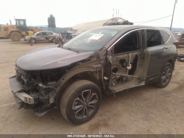 Honda Cr-v Ex-l 2021 5J6RW2H85ML003289 Image 2