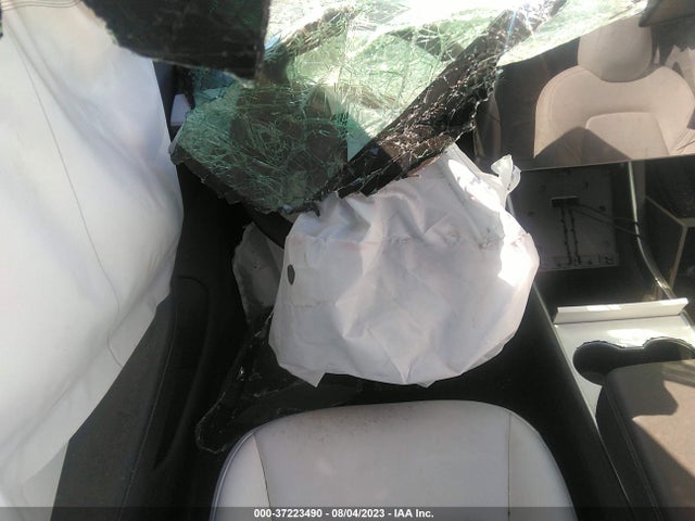 Tesla Model 3 Range 2019 5YJ3E1EA9KF431527 Image 13
