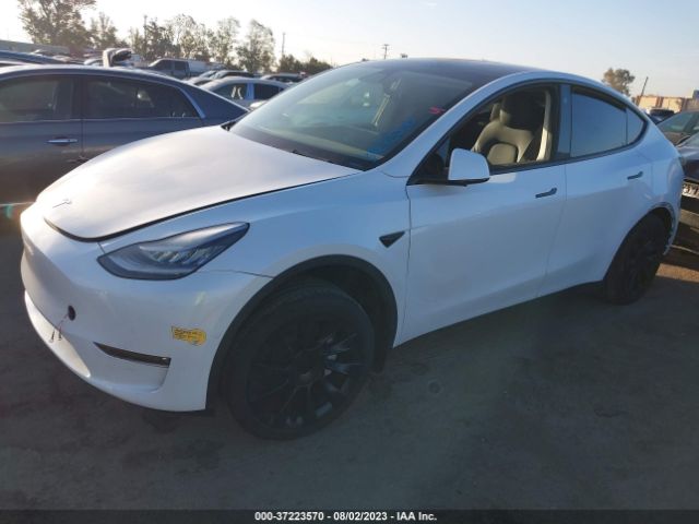 7SAYGDEE1NF447359 Tesla Model Y Long Range
