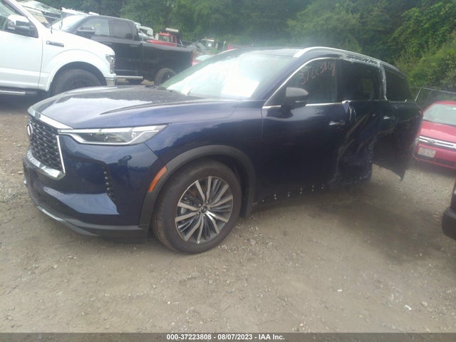 Infiniti Qx60 Sensory 2023 аукцион фото