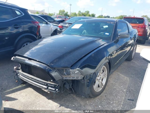 1ZVBP8AM1E5219383 Ford Mustang V6