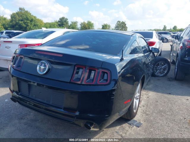 1ZVBP8AM1E5219383 Ford Mustang V6