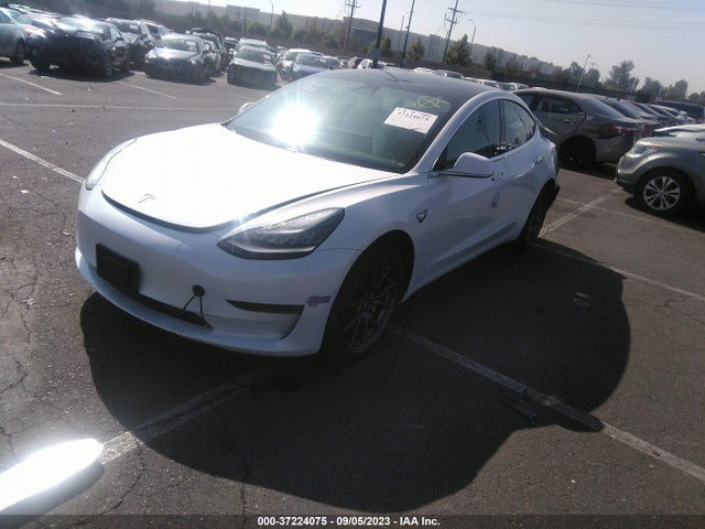 Tesla Model 3 Range 2019 5YJ3E1EA8KF431809 Image 2