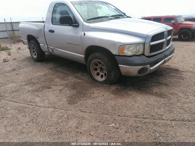 2002 DODGE RAM 1500 VIN: 1D7HA16K52J173403