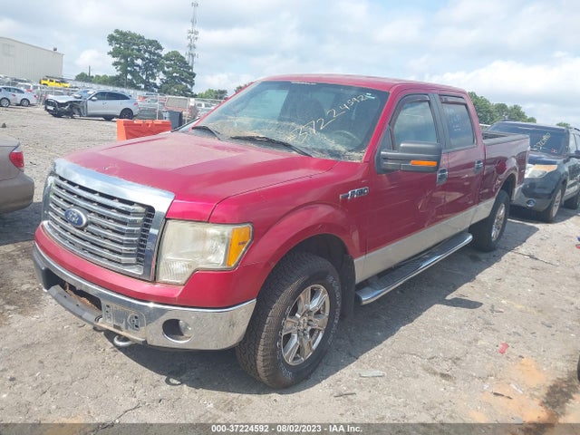 2010 FORD F-150 XL/XLT/FX4/LARIAT VIN: 1FTFW1EV3AFD52930