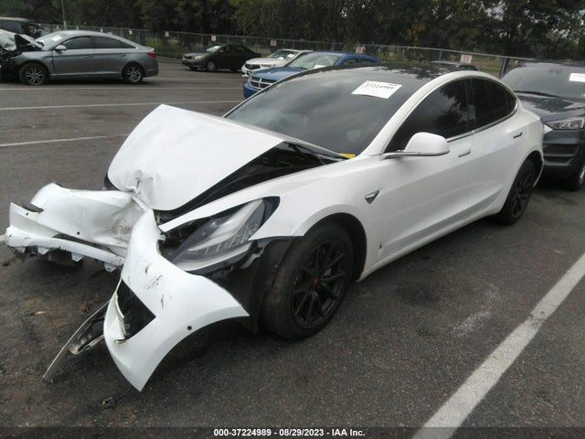 Tesla Model 3 Range 2019 5YJ3E1EA3KF483560 Image 2