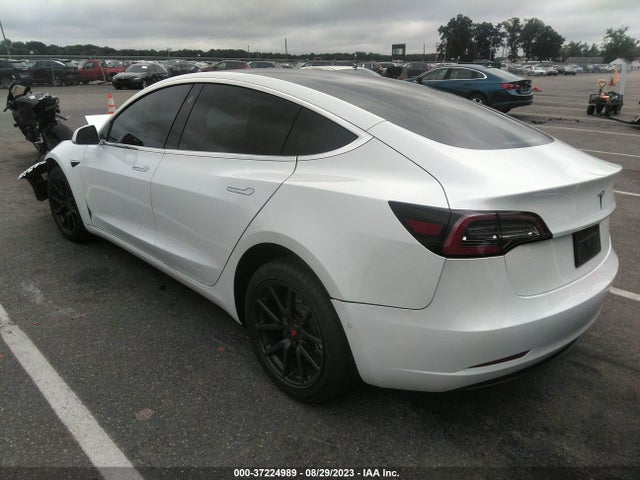 Tesla Model 3 Range 2019 5YJ3E1EA3KF483560 Image 3