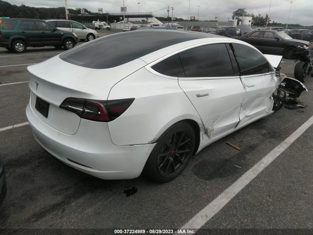 Tesla Model 3 Range 2019 5YJ3E1EA3KF483560 Image 4
