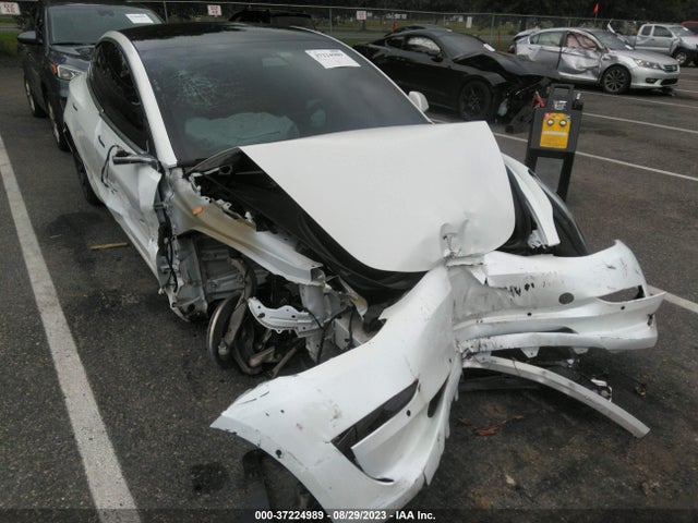 Tesla Model 3 Range 2019 5YJ3E1EA3KF483560 Image 6