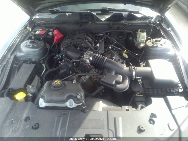 Ford Mustang V6 2014 1ZVBP8AM3E5253566 Image 17