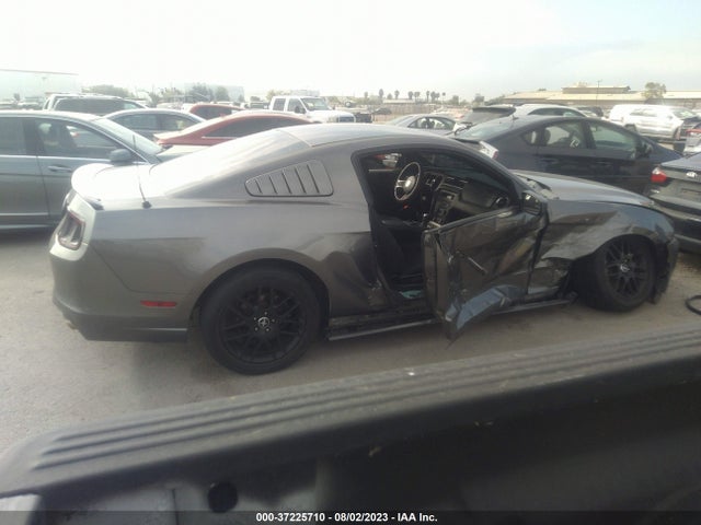 Ford Mustang V6 2014 1ZVBP8AM3E5253566 Image 6