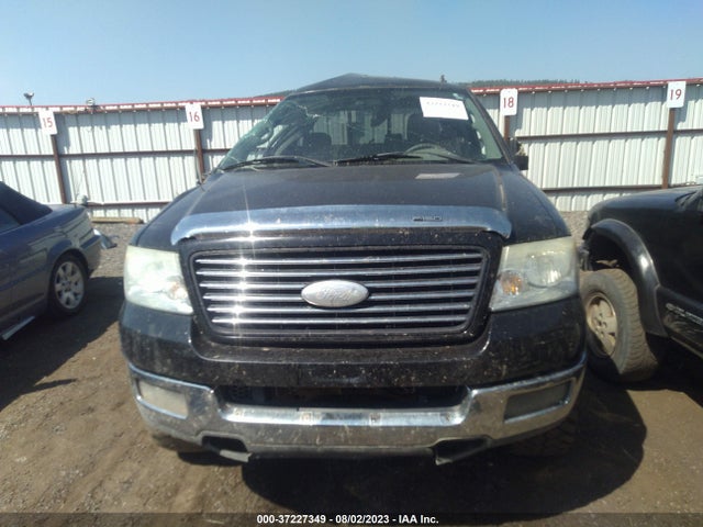 2005 FORD F-150 XLT/FX4/LARIAT/XL VIN: 1FTPX14505NA31717