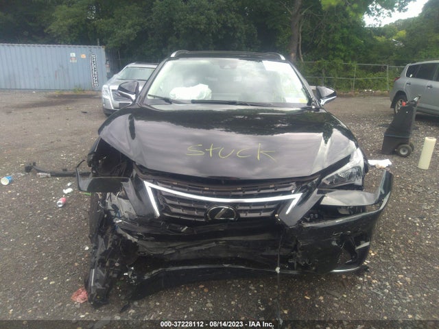 2020 LEXUS NX NX 300 VIN: JTJDARDZ2L5006625