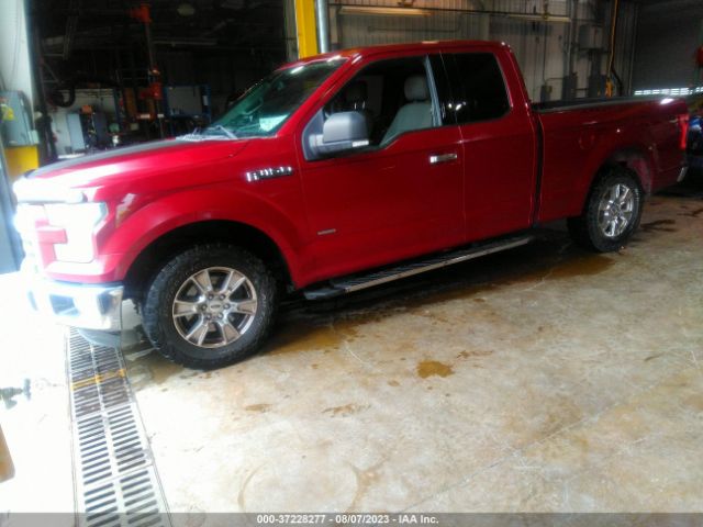 1FTEX1CP0FFC74871 Ford F-150 Xl/lariat/xlt