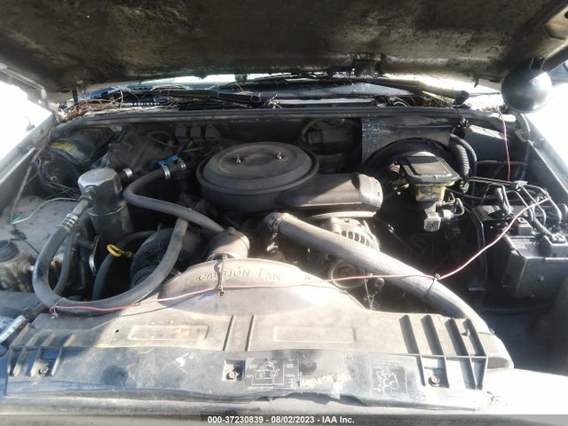 1994 CHEVROLET S TRUCK S10 VIN: 1GCCS14Z4R8192026