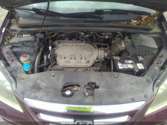 2007 HONDA ODYSSEY EX-L VIN: 5FNRL38777B444683