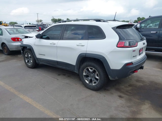 Jeep Cherokee Trailhawk 2019 1C4PJMBN8KD170002 Image 3