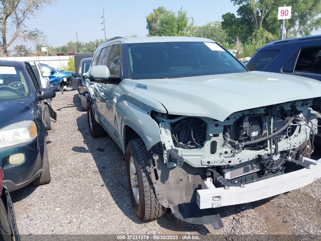 2023 Toyota Sequoia, VIN: 7SVAAABA6PX003652