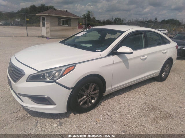 Hyundai Sonata 2.4l 2016 5NPE24AFXGH418539 Image 2