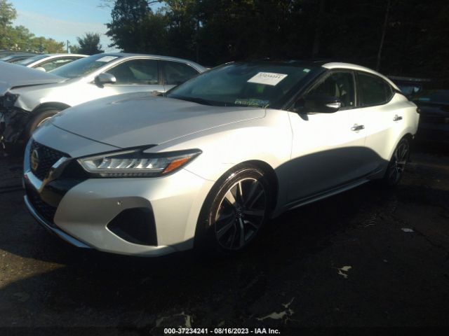 1N4AA6DV3LC364156 Nissan MAXIMA SL