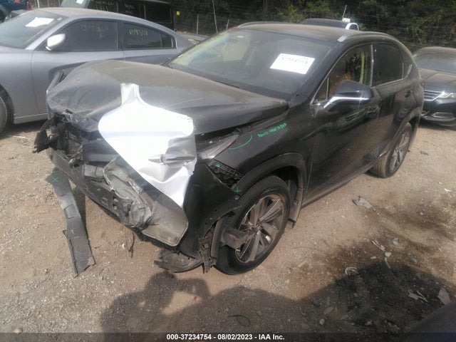 2021 Lexus NX, VIN: JTJGJRDZ9M2158627