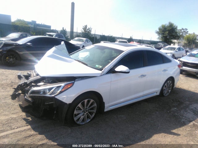 Hyundai Sonata Sport 2017 5NPE34AF2HH558020 Image 2