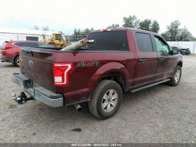 1FTEW1EP2HKD33736 Ford F-150 Xl/xlt/lariat
