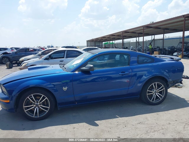 2009 FORD MUSTANG GT/GT PREMIUM VIN: 1ZVHT82H995102504
