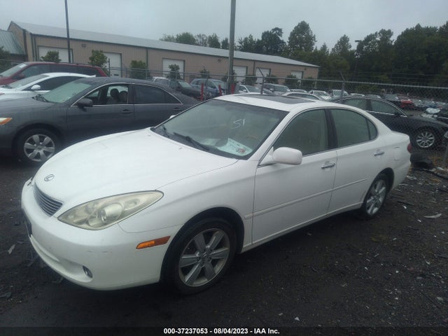 2005 LEXUS ES 330 VIN: JTHBA30G155056784