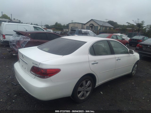 2005 LEXUS ES 330 VIN: JTHBA30G155056784