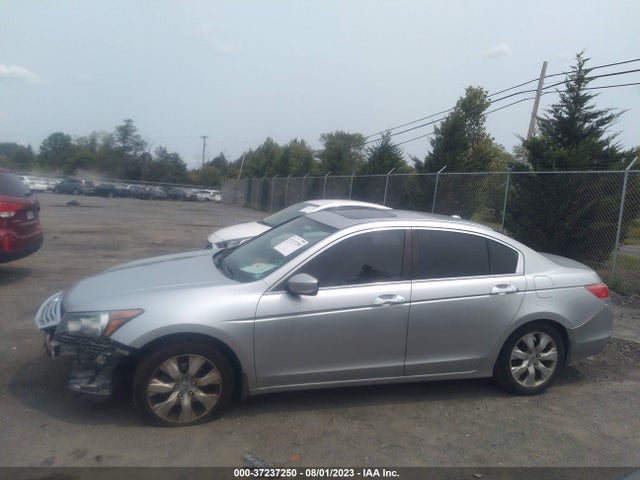 2010 HONDA ACCORD SDN EX-L VIN: 1HGCP2F89AA059448