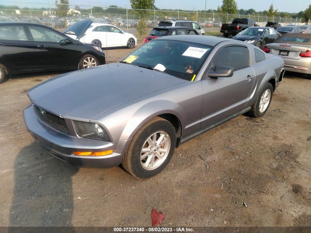 2006 FORD MUSTANG STANDARD/DELUXE/PREMIUM VIN: 1ZVFT80N765167329