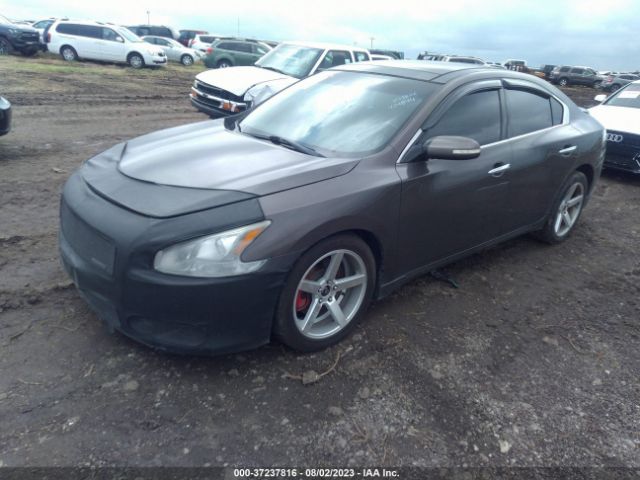 1N4AA5AP9EC434844 Nissan Maxima 3.5 Sv W/premium Pkg