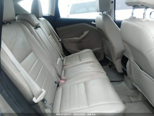 2015 FORD C-MAX ENERGI SEL VIN: 1FADP5CU4FL109115