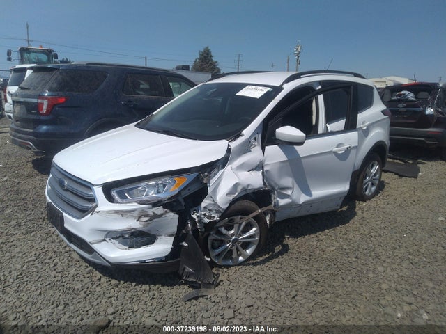 Ford ESCAPE SEL 2019 1FMCU9HD5KUA21267 Image 2