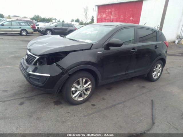 KNDPBCAC7G7802775 KIA Sportage Lx