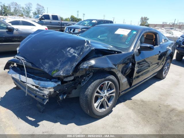 1ZVBP8AM0E5201845 Ford Mustang V6